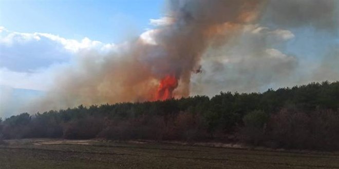 Tokat'ta orman yang�n�: M�dahale s�r�yor