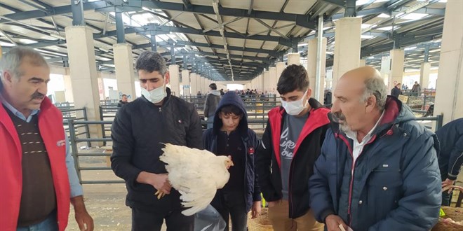 Köy tavuğu satışları patladı
