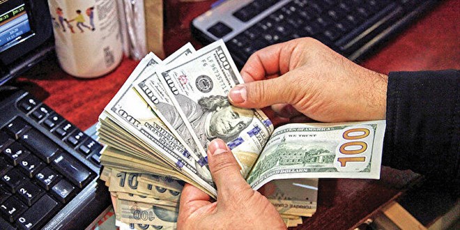 Dövize limit getirilsin talebi! Türk Ticaret Kanunu hatırlatıldı