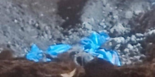 Şanlıurfa'da köpeklerin kazdığı çukurdan parçalanmış ceset çıktı