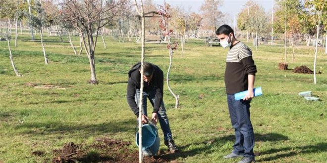 Parktaki a�ac� kesti, 10 fidan dikme cezas� verildi