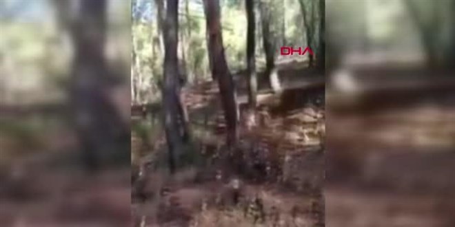Antalya'da 400 dönüm kamu arazisini işgal eden 12 şüpheli yakalandı