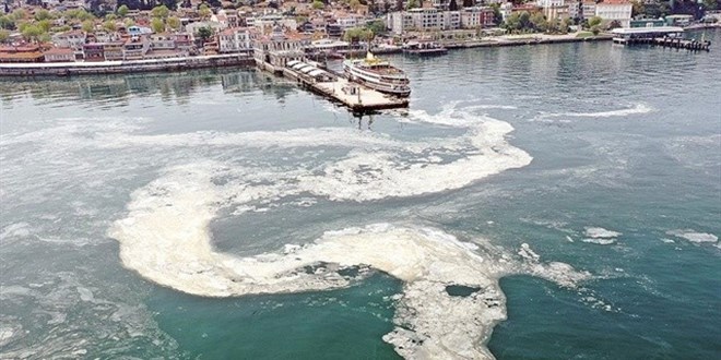Bakanlık müsilaj için düğmeye bastı: Arıtma tesisi kurulması şart