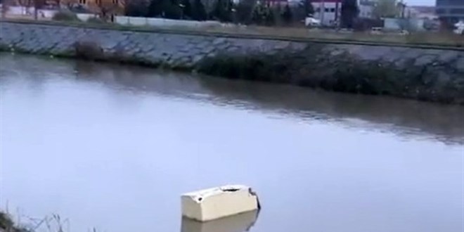Kocaeli Belediyesi'nden tepki: Kim demiş buzdolabı yüzemez?