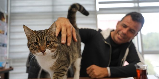 'Burada çalışmak için kedi ve köpek sevmek şart'