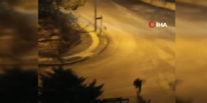 Sokak köpeklerinin saldırdığı çocuk hastanelik oldu