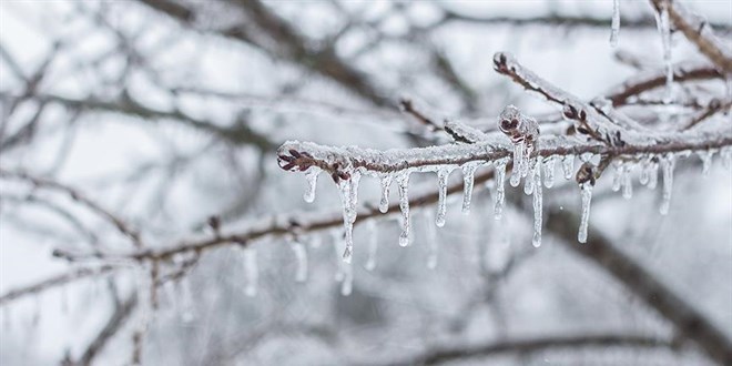 Do�u Anadolu'da 4 il i�in ���, buzlanma ve don uyar�s� yap�ld�