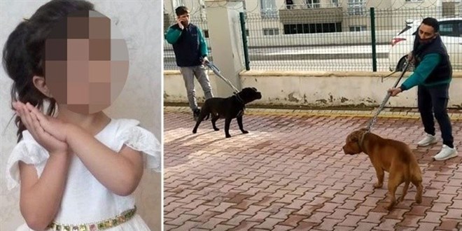 Pitbul sahiplerinden küçük Asiye'nin babasına 'binadan atarız' tehdidi