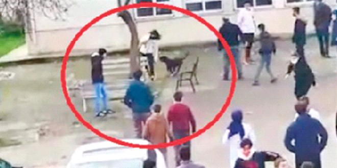 Durdurun şu köpek terörünü! Çocuklarımızı koruyalım