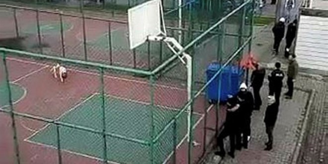 Pitbull deh�eti bitmiyor! Sultangazi'de 2 ki�i yaraland�