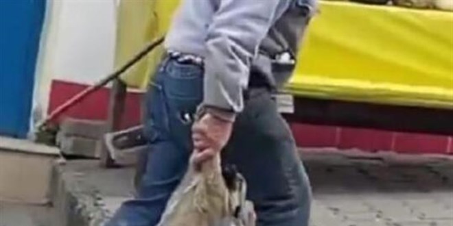 Yavru köpeği patilerinden tutup taşıyan işçiye uyarı