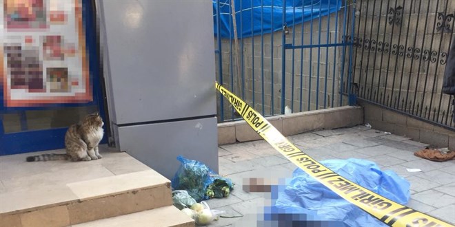 �l�m al��veri�te yakalad�, kedi ba��ndan hi� ayr�lmad�