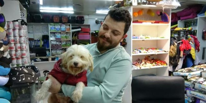 Kayıt dışı hayvan üretiminde şifreli satış: Gelin-damat arıyoruz