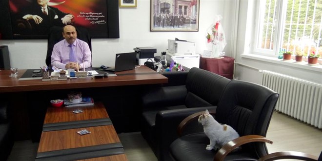 Kedi 'Pamuk' okulun maskotu oldu