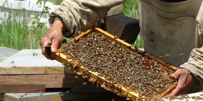 'Piyasada hi� ar� g�rmeden �retilen sahte ballar var'