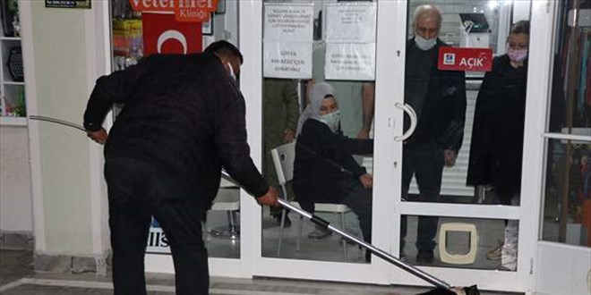 Sokağa bırakılan pitbull veteriner kliniğine girerek kediyi telef etti
