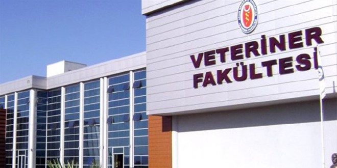 Yeni a��lacak veterinerlik fak�ltelerine 'fiziki ve teknik altyap� zorunlulu�u' getirildi