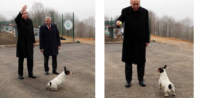 Erdoğan hayvan barınağını ziyaret etti, Maylo ile oynadı