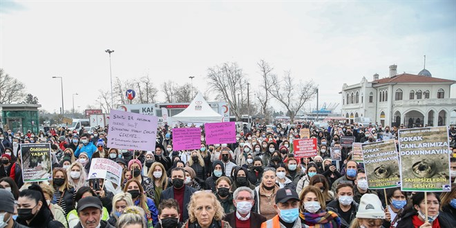 Hayvanseverler Kadıköy'de sokak hayvanları için toplandı