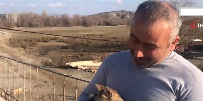 Çorum'da belgesel sevdalısı kedinin kendini fazla kaptırdığı anlar kamerada