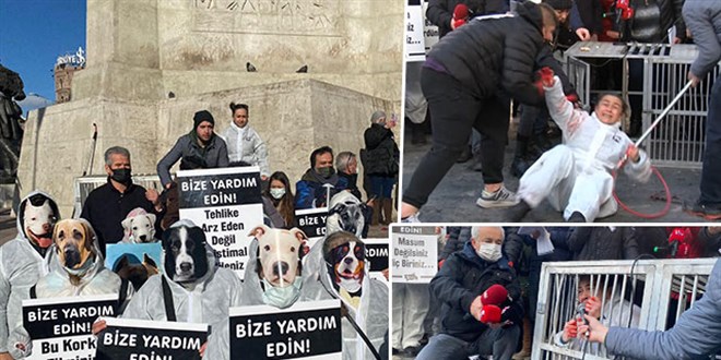 'Bakımevi olmayan belediyeler, binlerce hayvan topluyor'