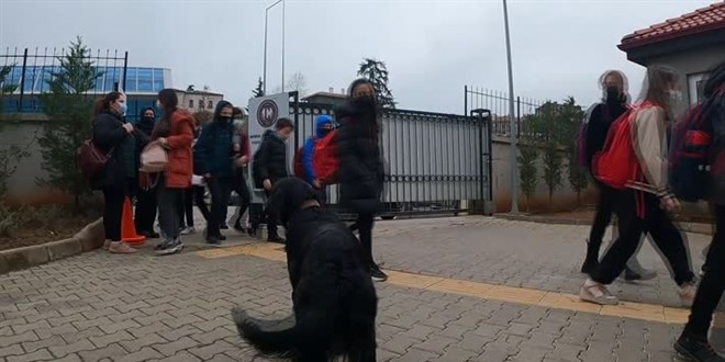 Trabzon'da okul müdürü, sahiplendiği 'Pars' ile köpek korkusunu yendi