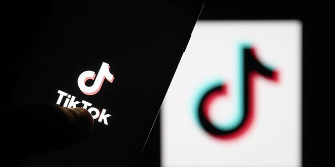 TikTok yetkilileri Meclis'te milletvekillerini bilgilendirdi