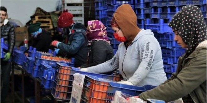 Soğuk havalar toptancı halini de vurdu, fiyatlar yüzde 50 arttı