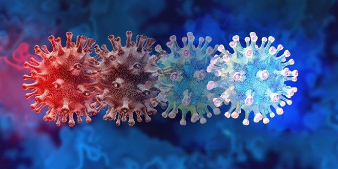Araştırma: Omicron virüsü ciltte 21 saat canlı kalıyor