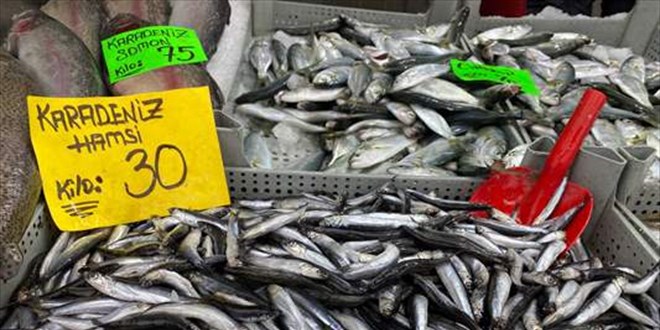 Soğuk hava balık fiyatlarını da vurdu, hamsi 30 TL'den satılıyor