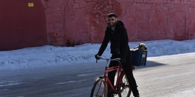 Kuzu yorulmasın diye bisikletiyle taşıdı