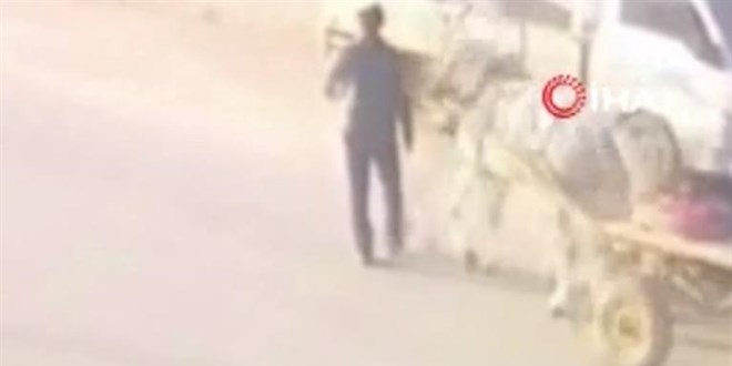 Ankara'da karşıdan karşıya geçen yayaya at arabası çarptı