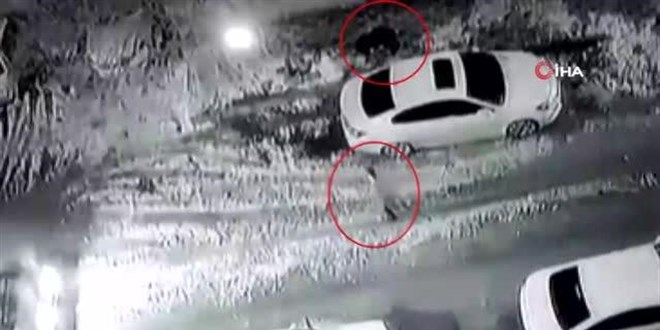 Elazığ'da yayanın kaldırımın çökmesiyle oluşan çukura düşme anı kaydedildi