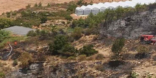 Mula'da kan orman yangn sndrld