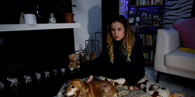 Sokak köpeğinin saldırısına uğrayan kadın ve köpeği yaralandı