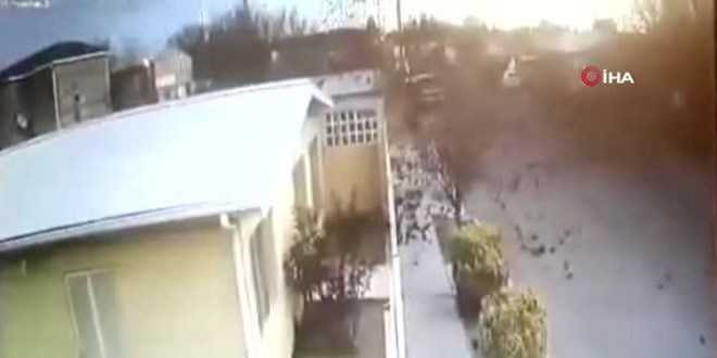 Kuş sürüsü mermi gibi yere çakıldı, onlarca kuş telef oldu