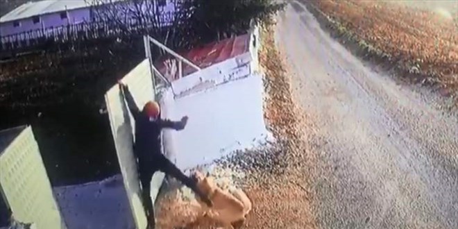 Köpeğin öğretmene saldırı anı güvenlik kamerasında