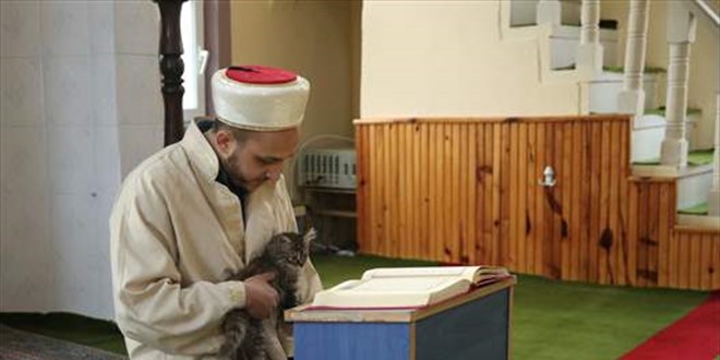 Doa ve hayvan dostu imam duyarllyla rnek oluyor