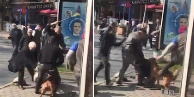 Beyoğlu'nda pitbull dehşeti! Tartıştığı kişilerin üzerine saldı