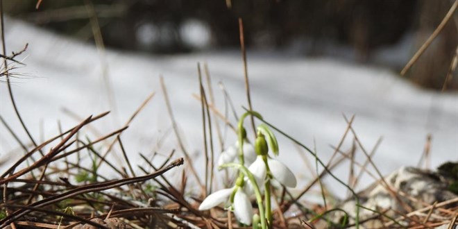 Bu iei koparmann cezas 109 bin 593 TL
