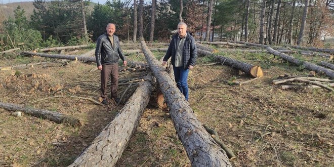 Milli Emlak'tan kiraladığı ormanda katliam yaptı