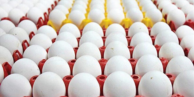 YUM-BİR Başkanı Afyon'dan yumurta fiyatı artışı açıklaması