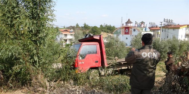 60 ton ağacı kesip kaçarken jandarmaya yakalandı
