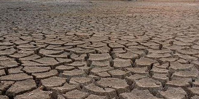 Ziraat Fakltesi Dekan: Bu yl geen yla gre daha kurak geebilir