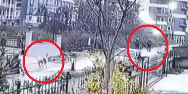 Üzerine gelen köpeği vuran polise soruşturma açıldı