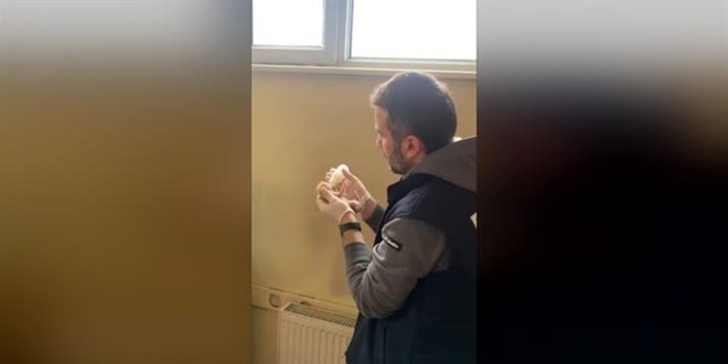 Sakarya emniyeti yeni doğmuş 4 kediye sahip çıktı
