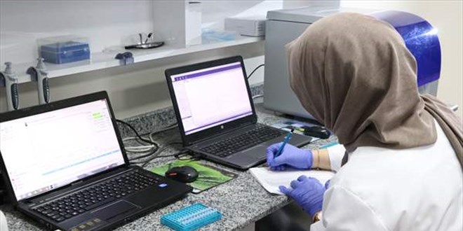 Yerli ve milli patates için patatesin 'parmak izi' çıkarılarak genetik taban oluşturulacak