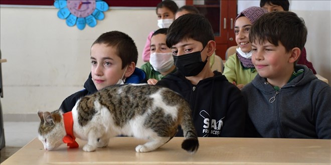Köy okulunun maskotu 'Tonton' hiçbir dersi kaçırmıyor