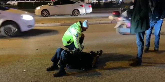 Polis yaralının başında bekleyip moral verdi