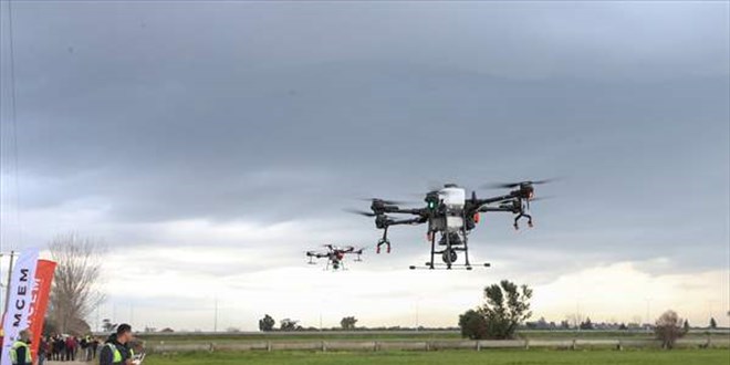 Türkiye'de bir ilk: Dronla gübreleme yapıldı